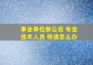 事业单位参公后 专业技术人员 待遇怎么办